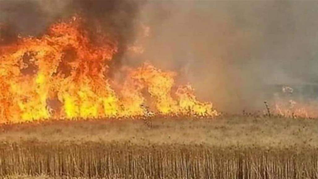 حرائق الحقول.. خسائر بمئات الهكتارات واتهامات لجهات داخلية وخارجية