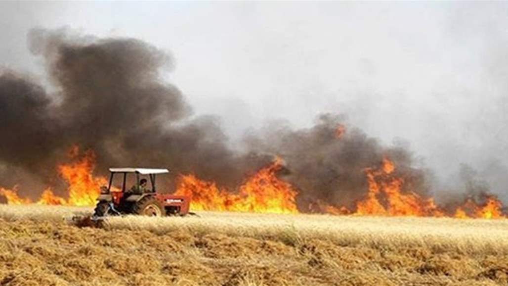 الزراعة: حرق مخلفات الحقول ببعض المحافظات قضية علمية وليست تخريب