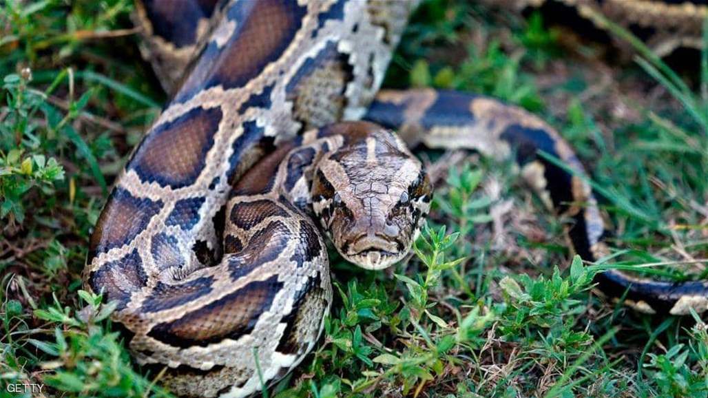 "الوباء الخفي" يتسبب بوفاة 138 ألف شخص سنوياً