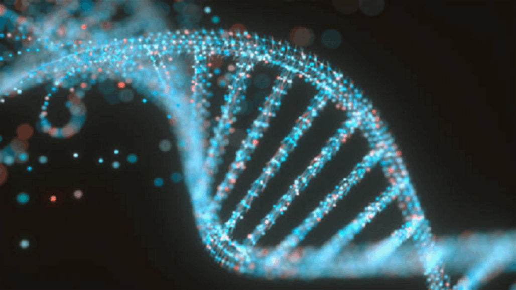 عمره 500 مليون عام.. طفرة في جين قد تحمي من مرض مزمن