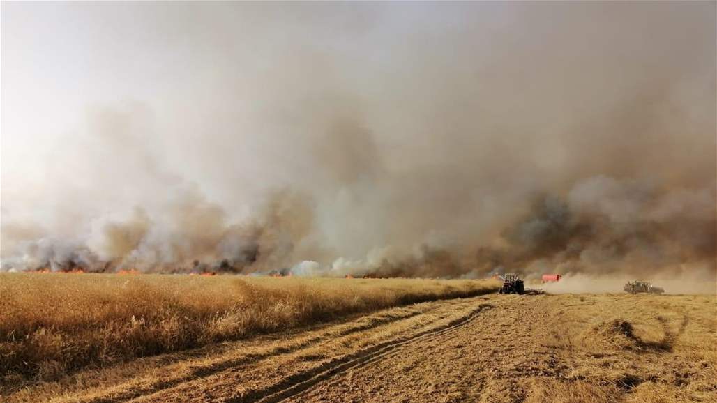 بالصور.. الكشف عن أحد أسباب حرق المحاصيل في البلاد