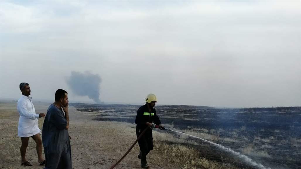 اندلاع حريق كبير في محاصيل زراعية غرب الرمادي