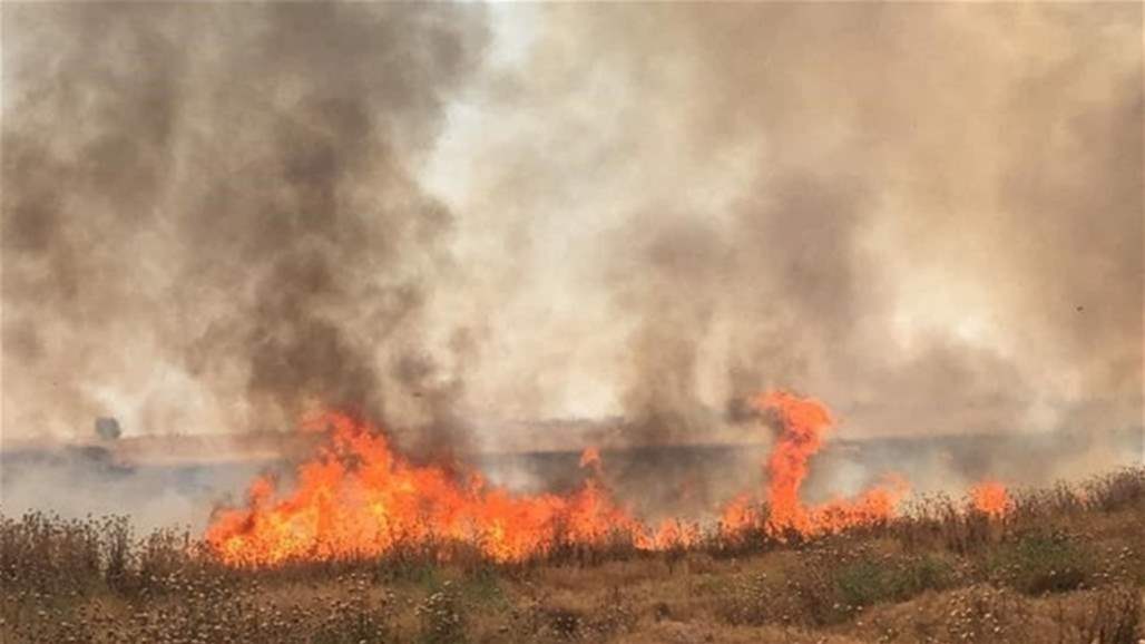الدفاع المدني يعلن اسباب حرائق المحاصيل الزراعية