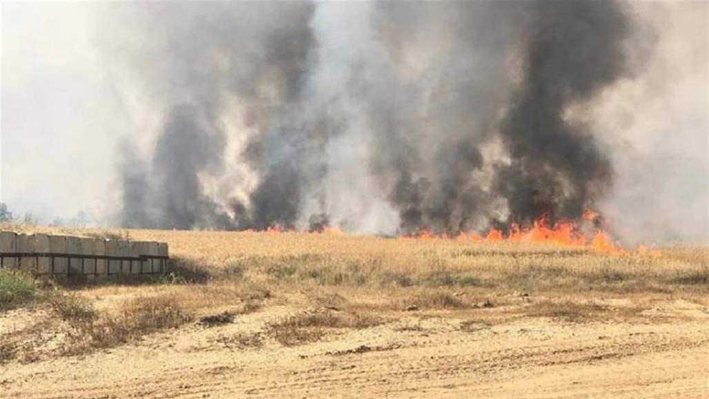 الدفاع المدني تعلن موقف حريق المحاصيل الزراعية وأسبابها خلال شهر
