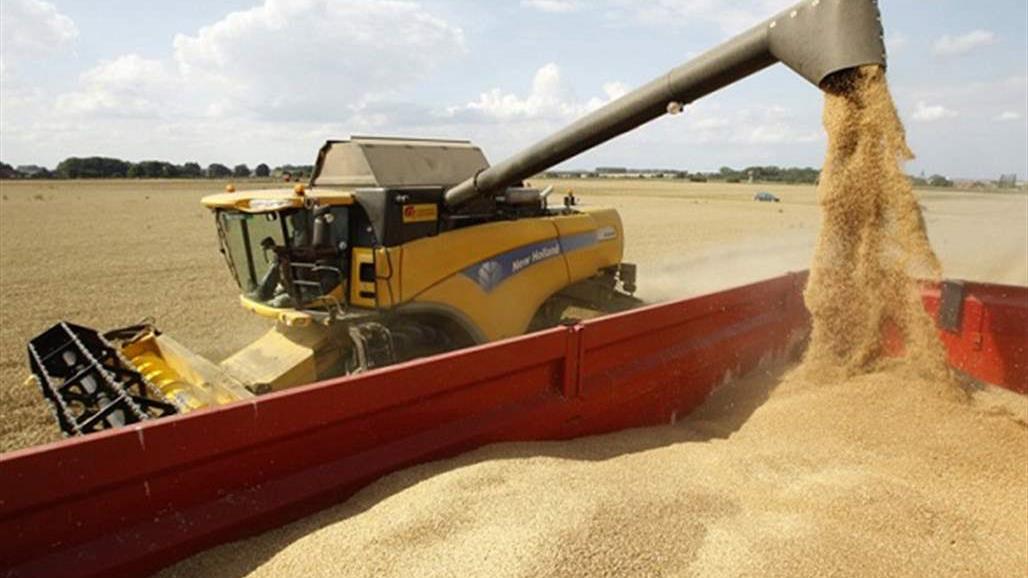 انتهاء حملة تسويق محصول الحنطة في تسع محافظات 