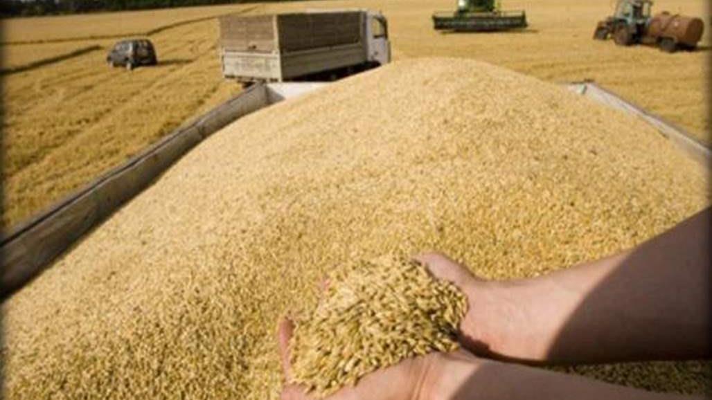 الزراعة تعلن عن استلامها مليونين و500 الف طن من الحنطة