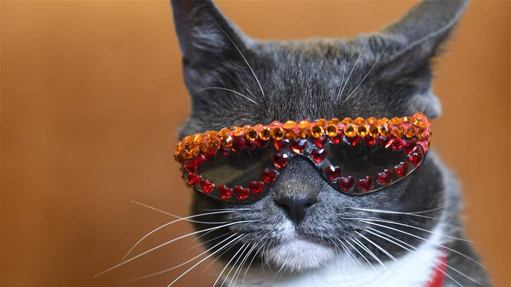 بالصور: حالة طبية نادرة جعلتها نجمة على انستغرام! 