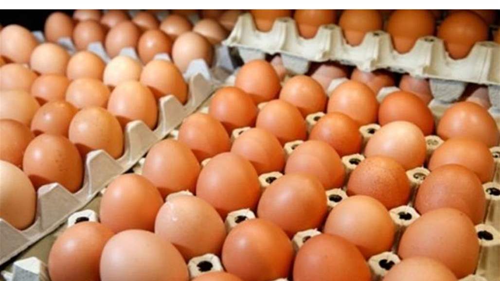 ذي قار تحدد سعر بيض المائدة في الاسواق المحلية 
