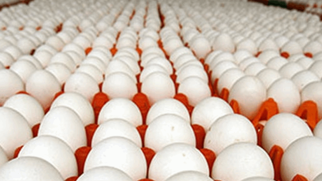 الجمعيات الفلاحية تكشف عن خطة لخفض أسعار البيض المحلي