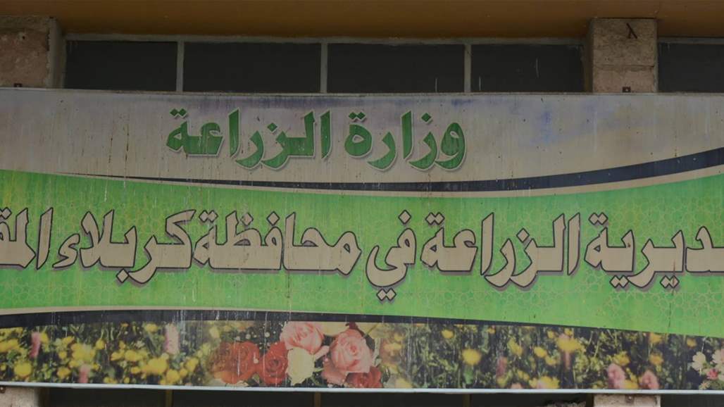 زراعة كربلاء تدعو أصحاب بساتين النخيل الى مراقبة الاشجار