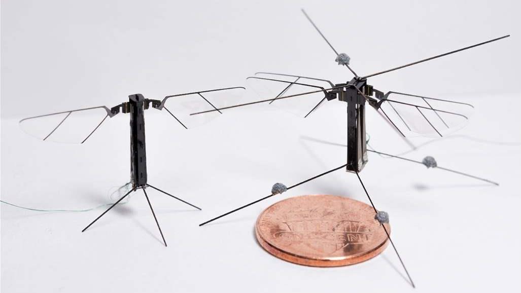 بالفيديو: أصغر روبوت على شكل حشرة يتمكن من الطيران!