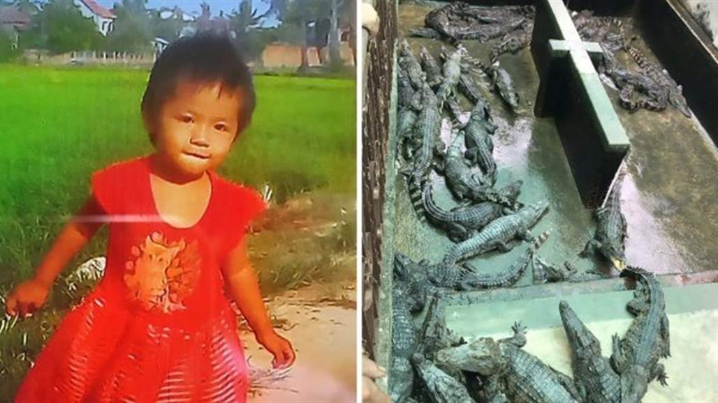 تماسيح تلتهم طفلة بسبب إهمال والديها (صور)