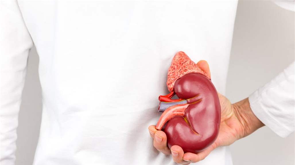 7 عادات ضارة تدمّر الكلى من دون علمك