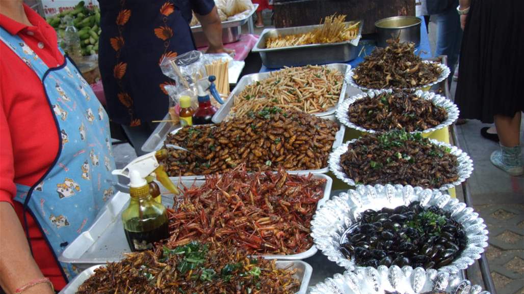 دراسة مثيرة: احم نفسك من السرطان بالحشرات!