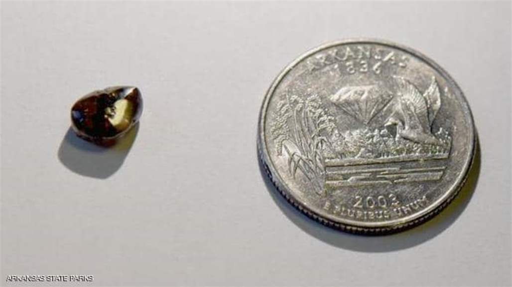 "محظوظ" يتعثر بألماسة قيمة في إجازته الصيفية