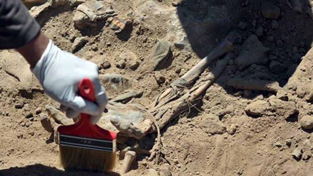 نائبة كردية تعلن عدد الرفات المرفوعة من مقبرة الشيخية في بادية السماوة