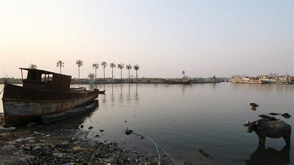 حقوق الانسان: نسبة التلوث بمياه شط العرب الكيمائي 100% والجرثومي 60%