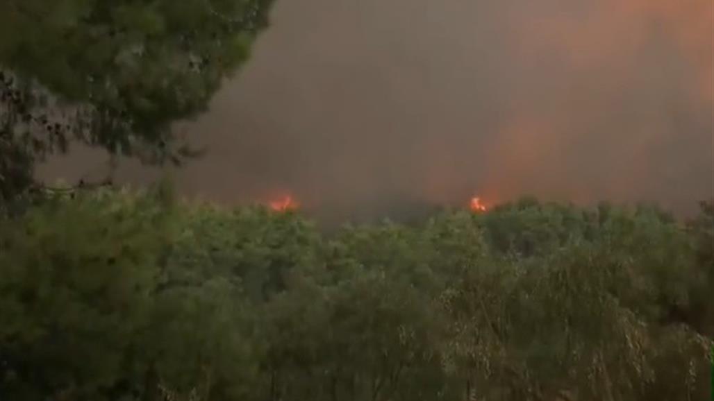 الحرائق تلتهم غابات ثاني أكبر جزيرة في اليونان