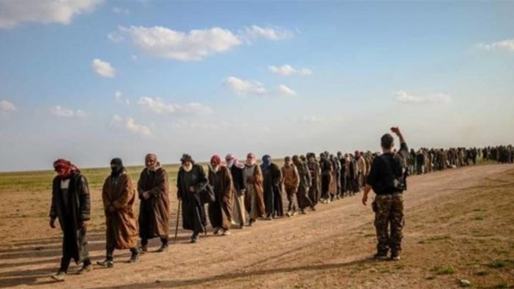 مباحثات عراقية-أوروبية بشأن 800 عنصر من "داعش"