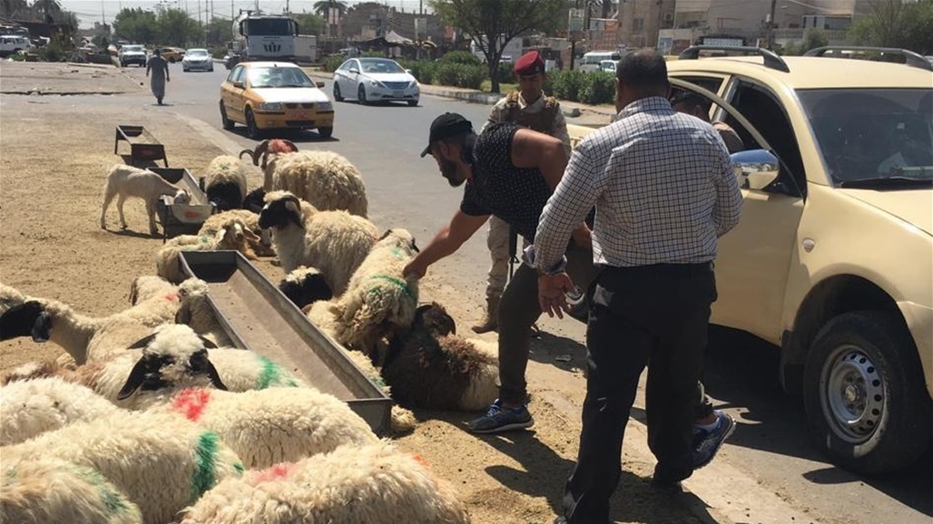 أمانة بغداد تعلن تعرّض كوادرها لاعتداء ثانِ خلال 24 ساعة