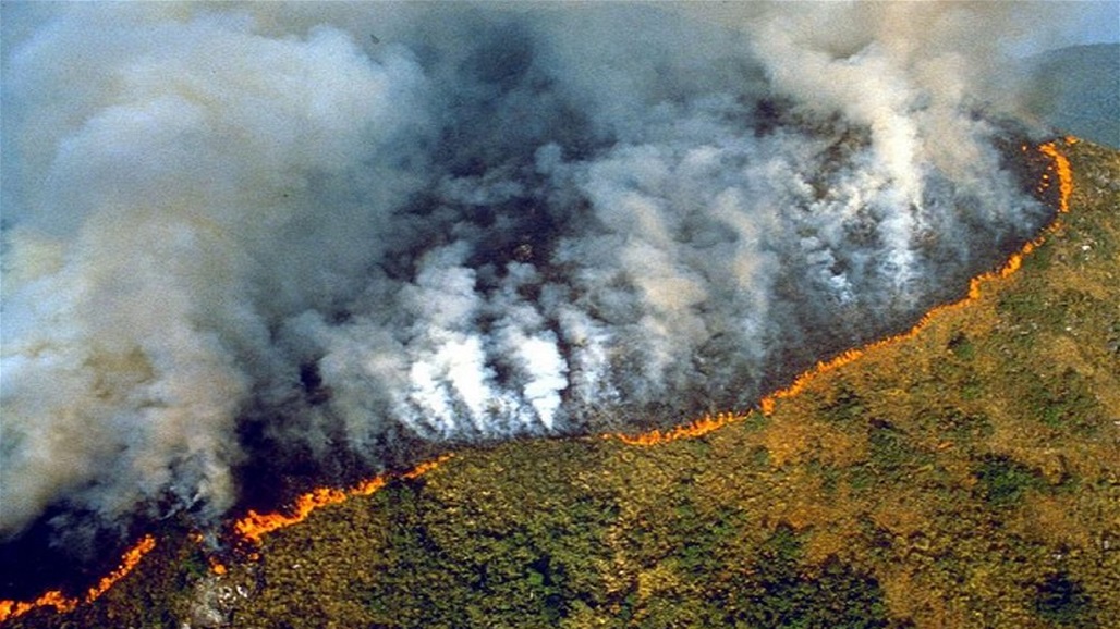 رئة الأرض تحترق وتبلغ معدلات قياسية... شاهد الصور!