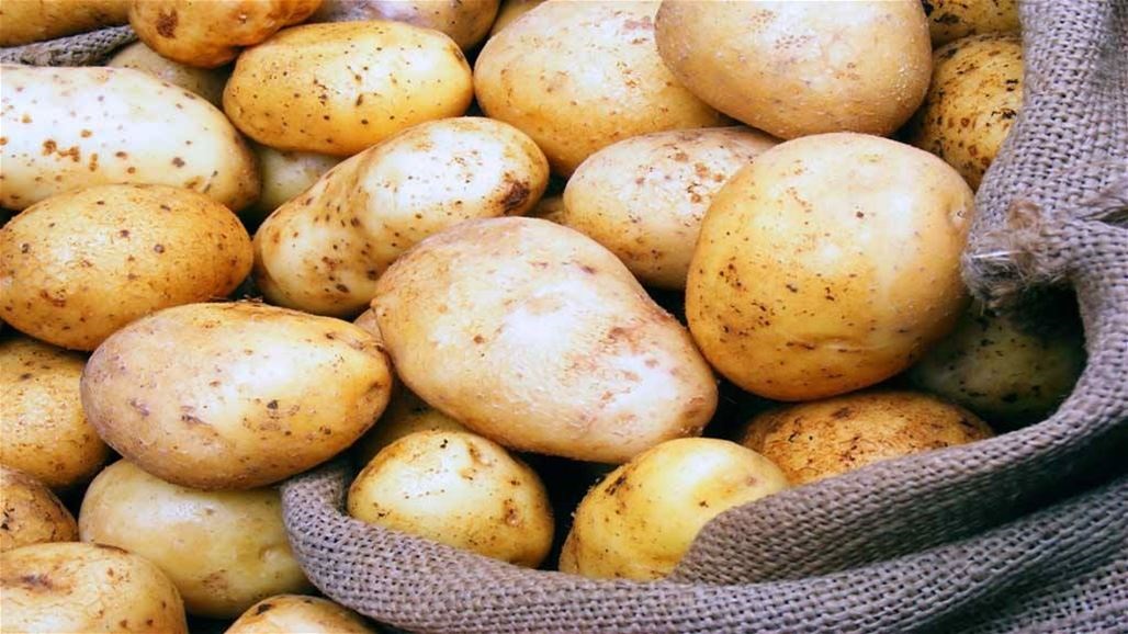 ضبط كمية من البطاطا مصابة بـ" خنفساء بكلار اديو" في العراق