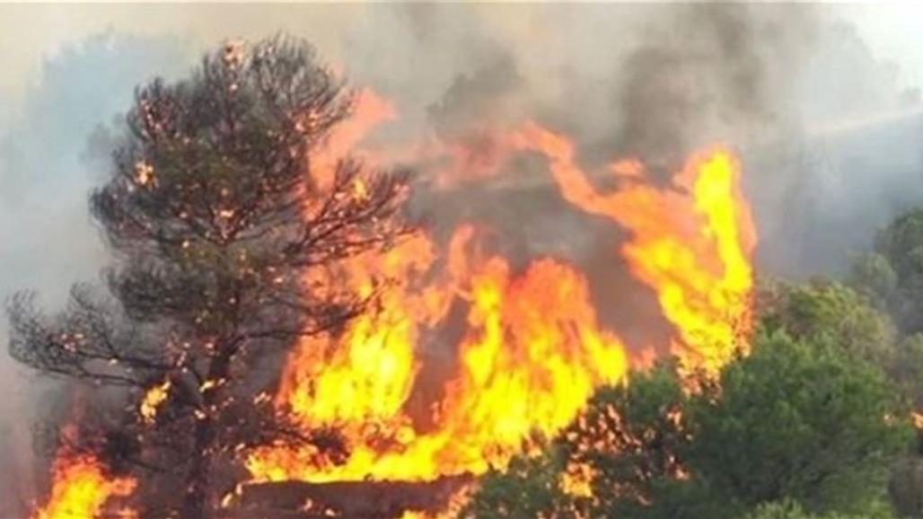 الحرائق تلتهم أكبر غابة في العالم وكبرى المدن في ظلام دامس