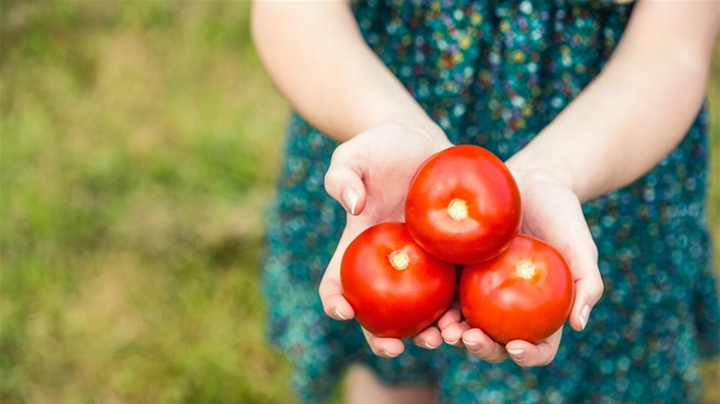 أبرزها إنقاص الوزن... أسباب تدعوك لتناول الطماطم