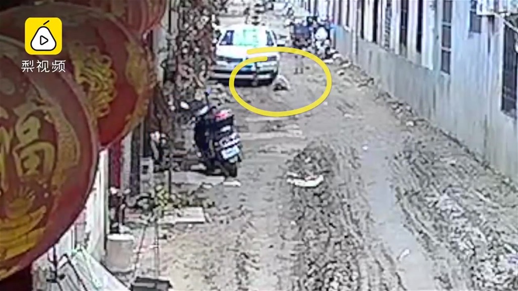 بالفيديو: في حادثة مأساوية... جدّ يسحق حفيدته تحت عجلات السيارة!