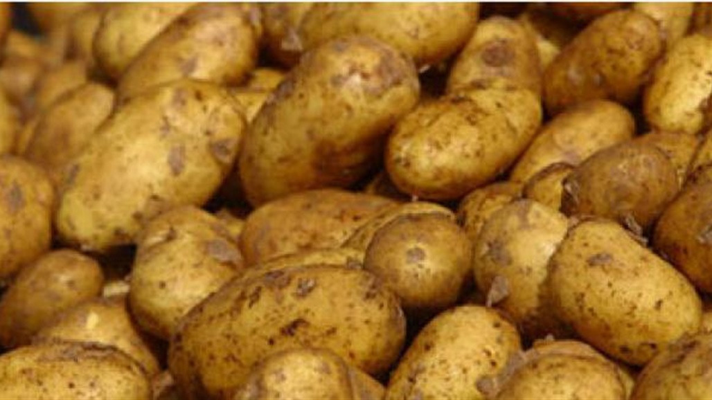 إيران ترفع حظر تصدير البطاطا للعراق