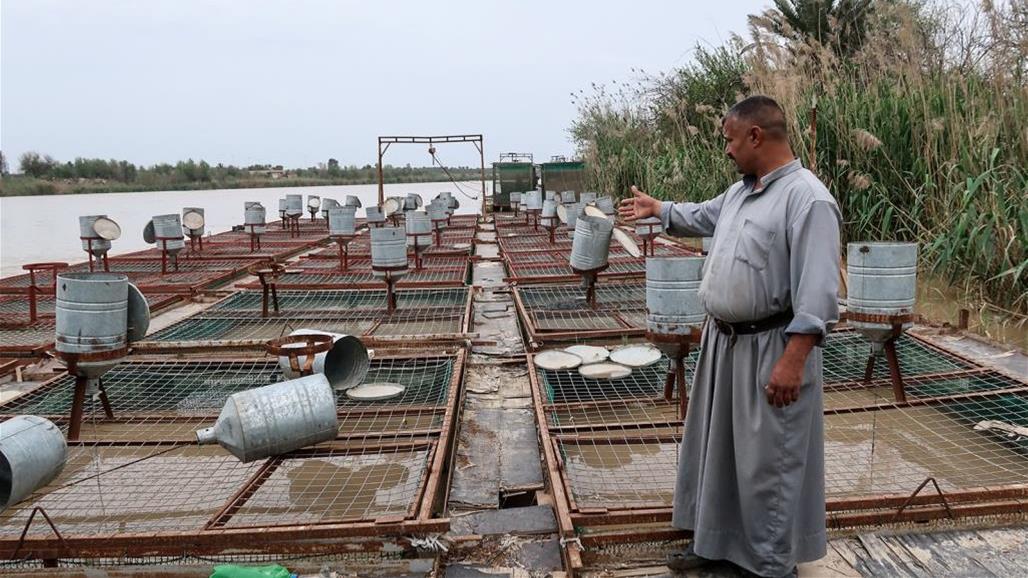  البيطرة توجه مربي الاسماك باستخدام نظام التربية المغلق بدلاً عن الأقفاص العائمة‎