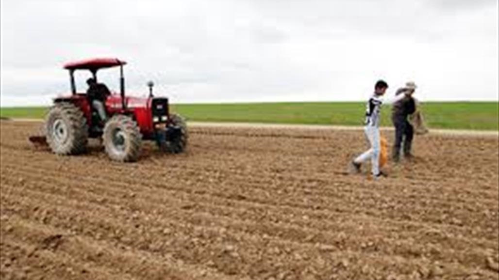 الزراعة: إطلاق المرحلة الأولى من مشروع استثمار الأراضي الصحراوية بمساحة مليون دونم 