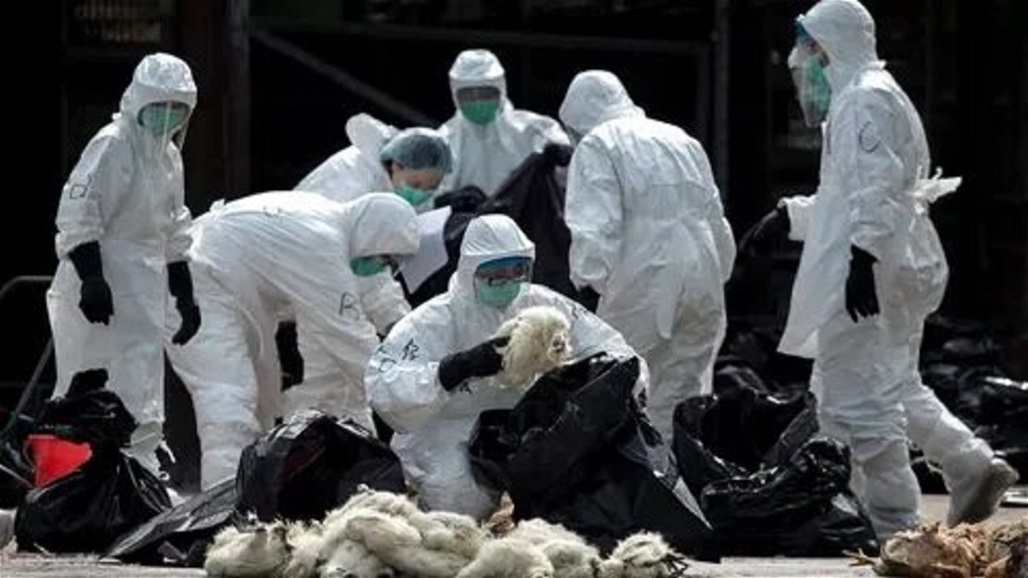 فيروس "كورونا" يصل دولة عربية ويسجل أول حالة إصابة