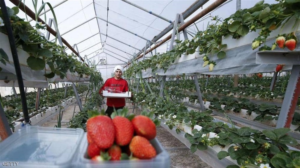 فلسطين تقرر منع إدخال خمسة منتجات إسرائيلية إلى أسواقها