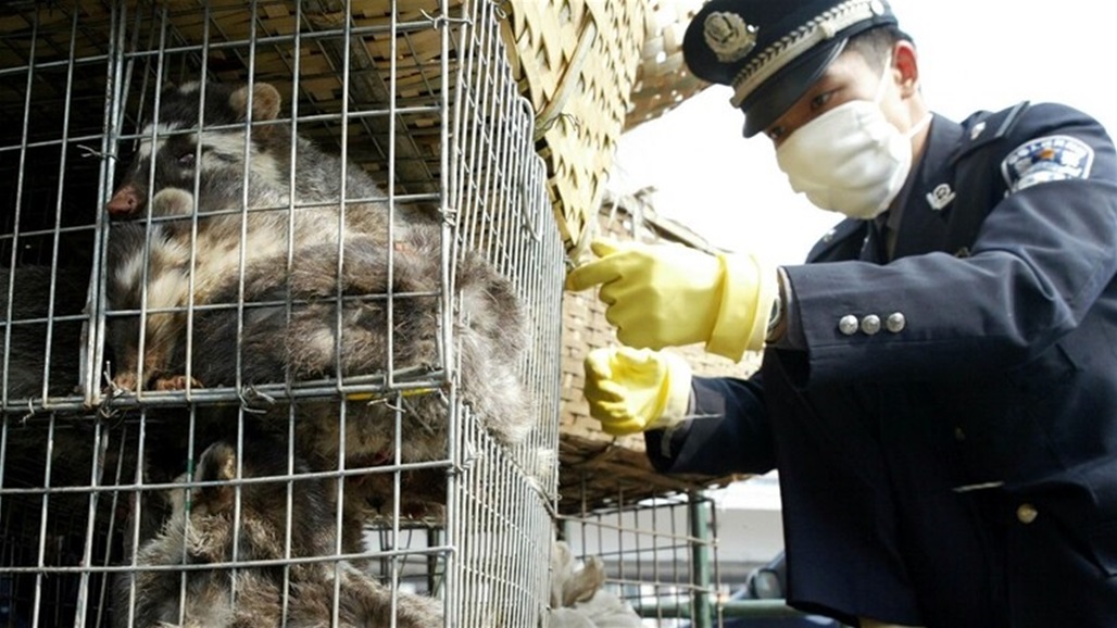 الصين تحظر تجارة الحيوانات البرية وتمنع أكلها