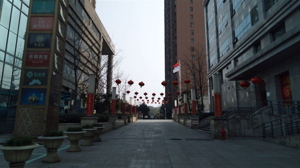 بالفيديو: مسنة تهبط من النافذة 8 طوابق هاربة من "سجن كورونا"