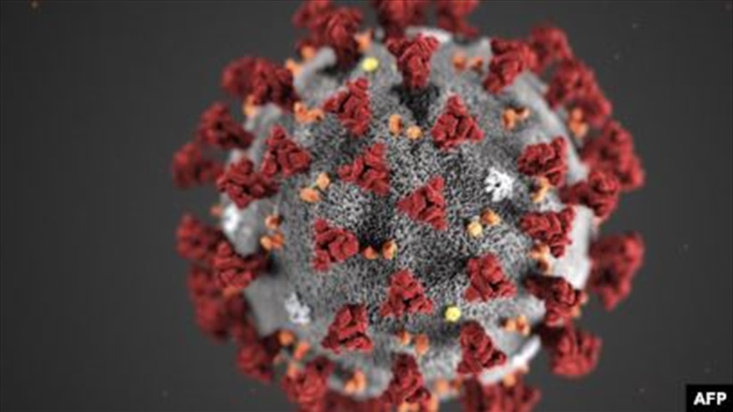 لغز "كورونا"..  تقرير مثير يجدد "نظرية المؤامرة": الفيروس خلق منذ 5 سنوات 