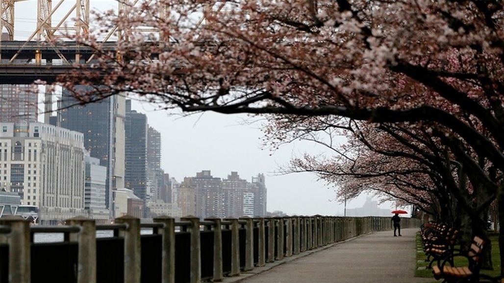 عمدة نيويورك يحذر من نفاد الإمدادات الطبية في المدينة