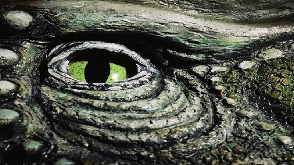 العثور على "ديناصور" في ولاية امريكية