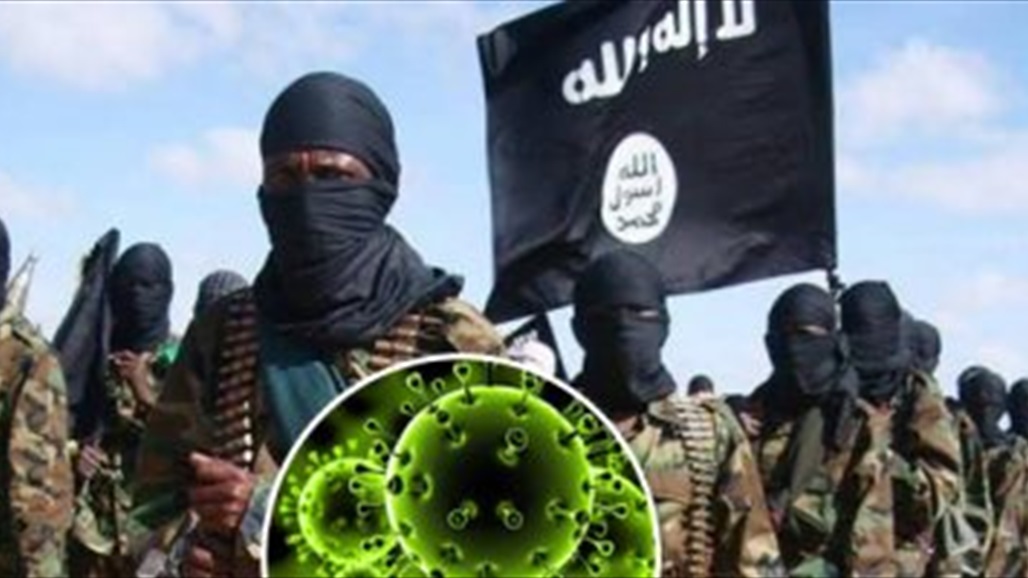 موقع اميركي: داعش يسعى للعودة في العراق تحت غطاء كورونا 