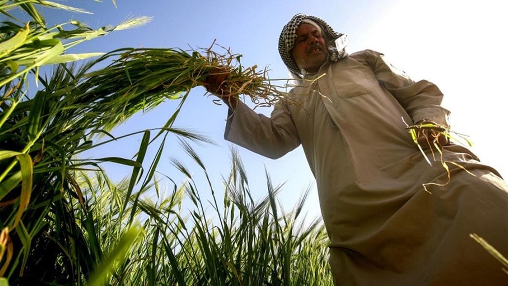 "افشلت مخططات الفاسدين".. نائب يؤشر ايجابياتٍ لأزمتي كورونا واسعار النفط 