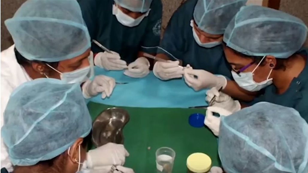 الحكومة اليابانية توجه أطباء الأسنان بإجراء اختبارات الكشف عن فيروس كورونا