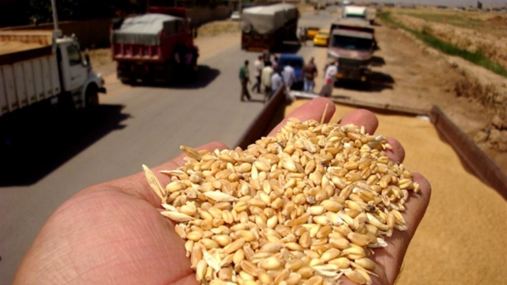 الزراعة: تسويق أكثر من 19 الف طن من محصولي الحنطة والشعير في كربلاء 