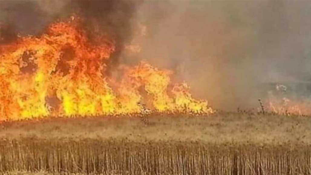 نائب يدعو الكاظمي لتشكيل لجنة تحقيق بشأن الحرائق في الحقول الزراعية