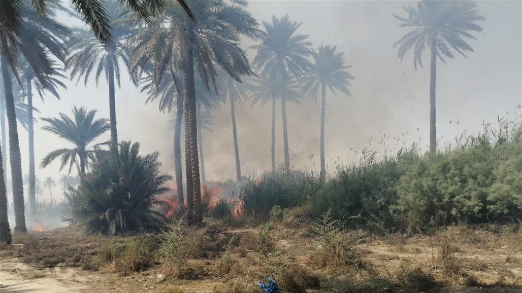 اندلاع حريق داخل بستان في قضاء الحسينية بكربلاء