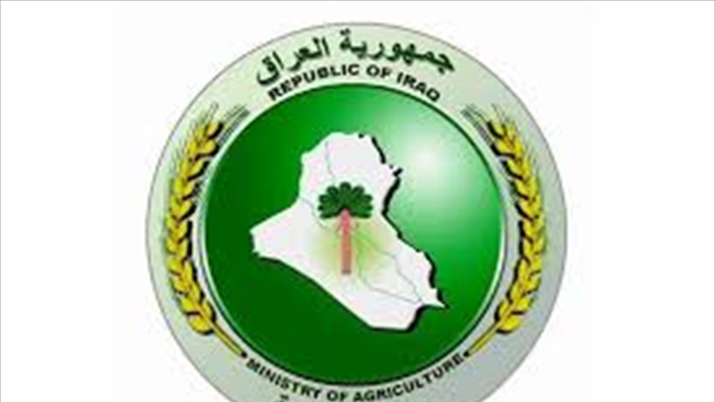الزراعة: منع دخول وحركة المحاصيل الاستراتيجية للحد من المخالفات القانونية والتهريب