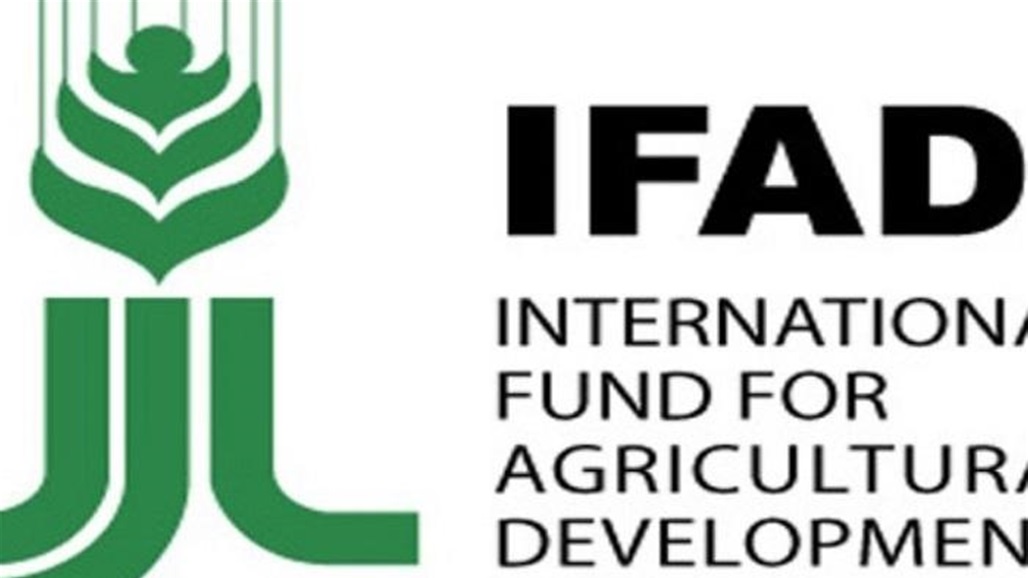 الصندوق الدولي للتنمية: النقد الدولي فشل بوضع حلول حقيقية لتجاوز ازمات العراق