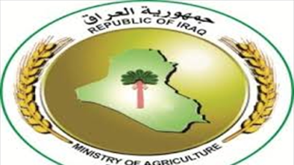 الزراعة: لم نمنح اجازات استيراد لمنتجات الدواجن منذ اكثر من عام 