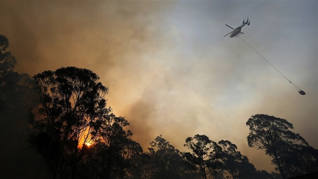 ثلاثة مليارات حيوان يتعرض للقتل والتشريد بسبب حرائق استراليا