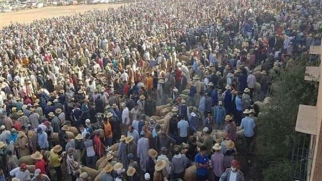 لعدم التزامها بإجراءات منع انتشار كورونا.. دولة عربية تغلق سبعة أسواق للماشية 